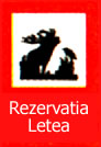 Rezervatie naturala